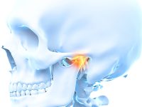 Articulación Temporomandibular